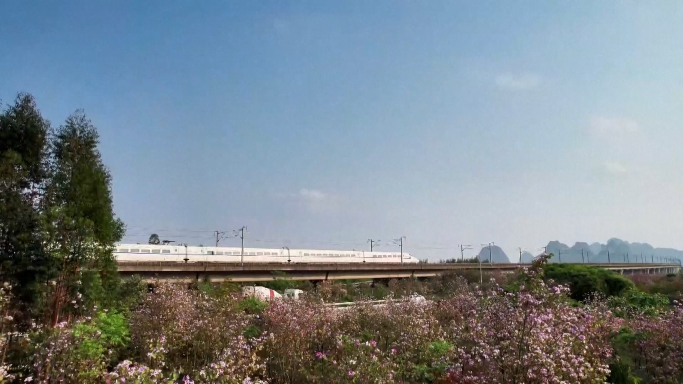 Laporan ini menyoroti pergerakan penumpang yang efisien