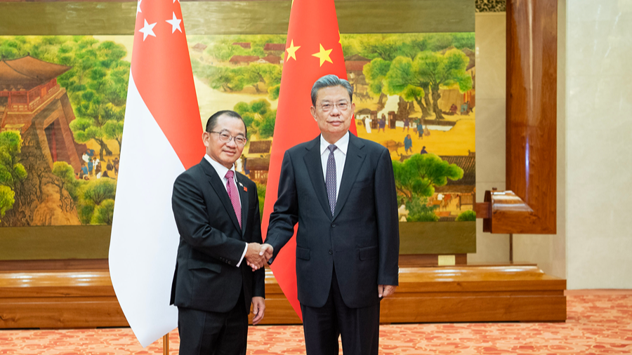 Ketua Parlemen Tiongkok Adakan Pembicaraan dengan Ketua Parlemen Singapura