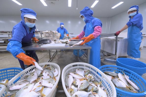 Tiongkok dan Indonesia Perdalam Kerja Sama Maritim, Buka Potensi Ekonomi Biru