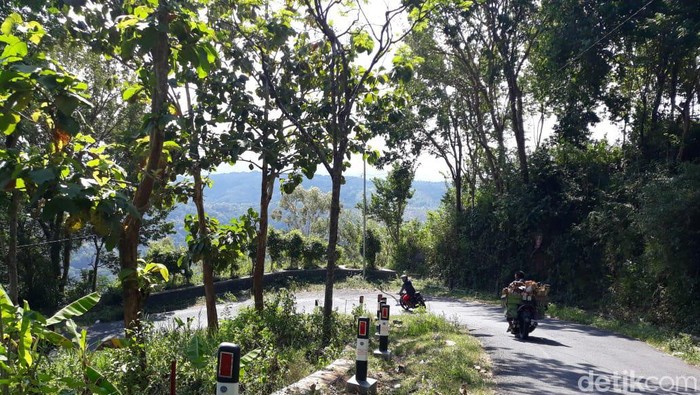 Di jalur Cinomati terdapat beberapa papan dan spanduk peringatan yang mengingatkan pengguna jalan agar waspada saat melintas