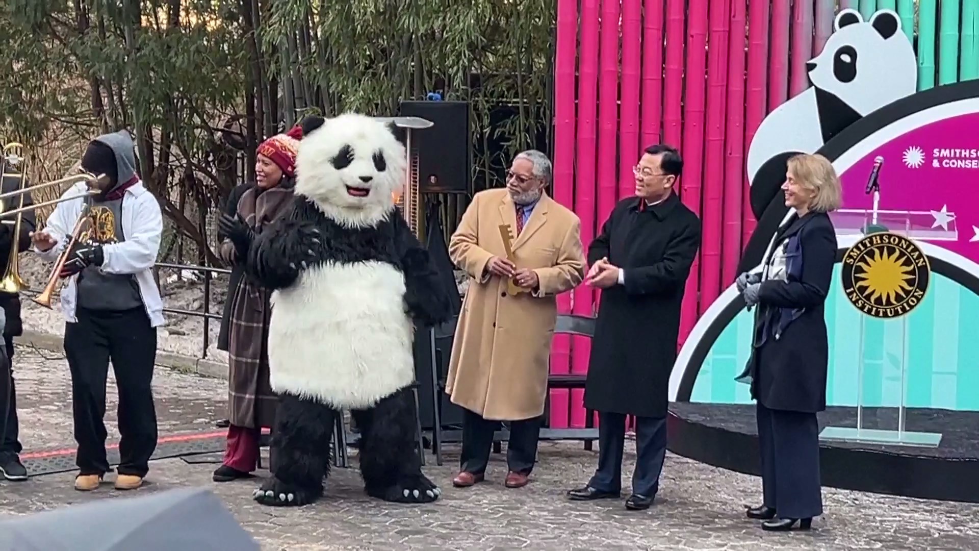 Sepasang panda raksasa