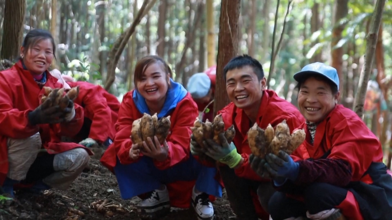 Dikelilingi oleh pegunungan hijau