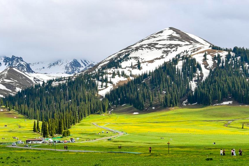 Dari bank benih hingga pemantauan cerdas membangun sistem terpadu untuk mengubah hambatan hijau menjadi kekayaan hijau