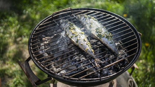 Manfaat ikan kembung ternyata mirip dengan salmon Ikan yang harganya tidak terlalu mahal dan memiliki rasa gurih dengan duri yang jarang ini mengandung banyak asam lemak omega-3