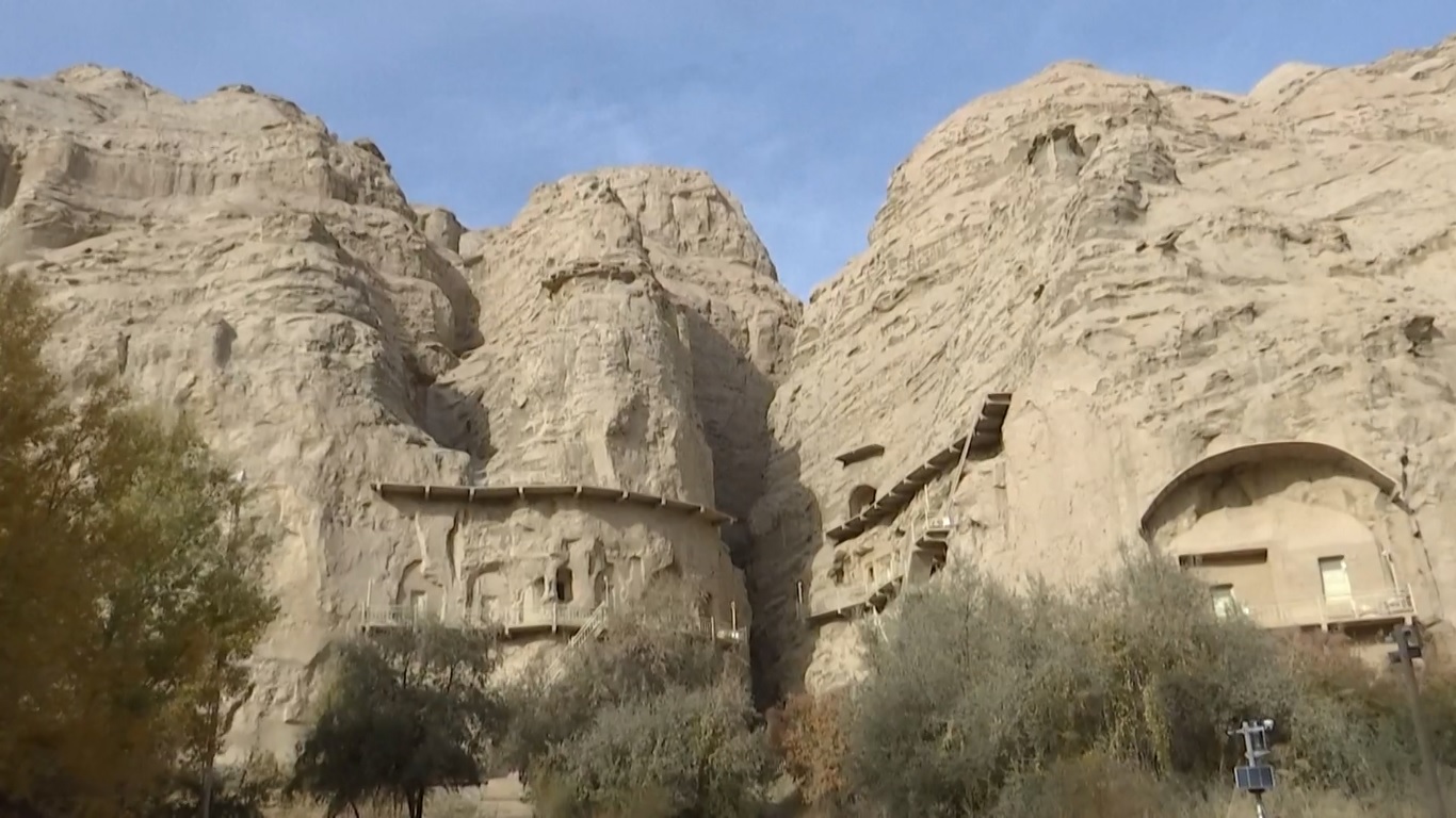 Komite teknis ISO saat ini beranggotakan 28 negara anggota dan 13 negara pengamat