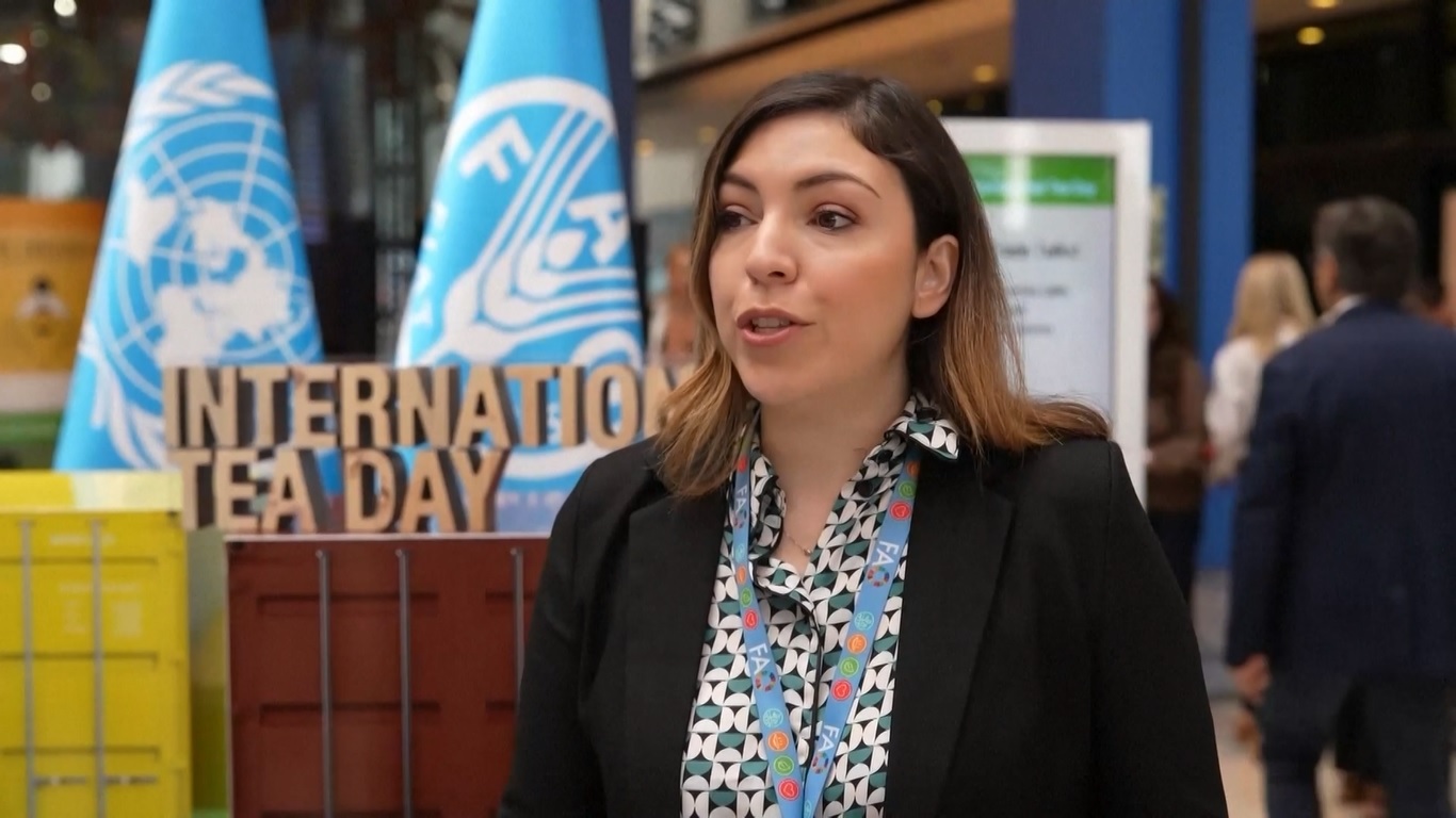 Dengan penambahan terbaru itu