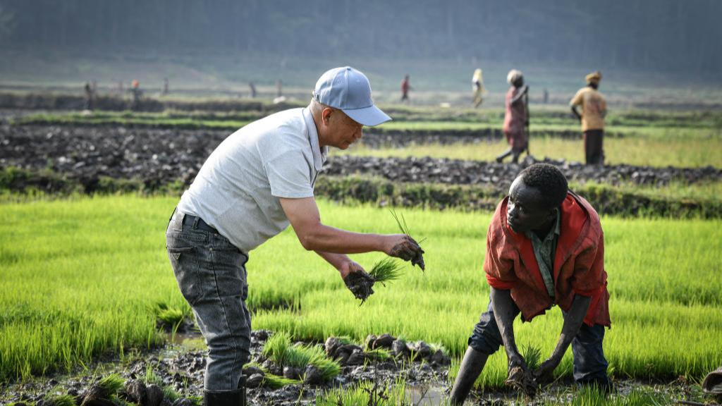 Dalam beberapa tahun terakhir Tiongkok telah membantu negara-negara Afrika dalam pengentasan kemiskinan dan mendukung kedua belah pihak dalam melakukan pertukaran dan kerja sama pengentasan kemiskinan membawa manfaat nyata bagi masyarakat setempat