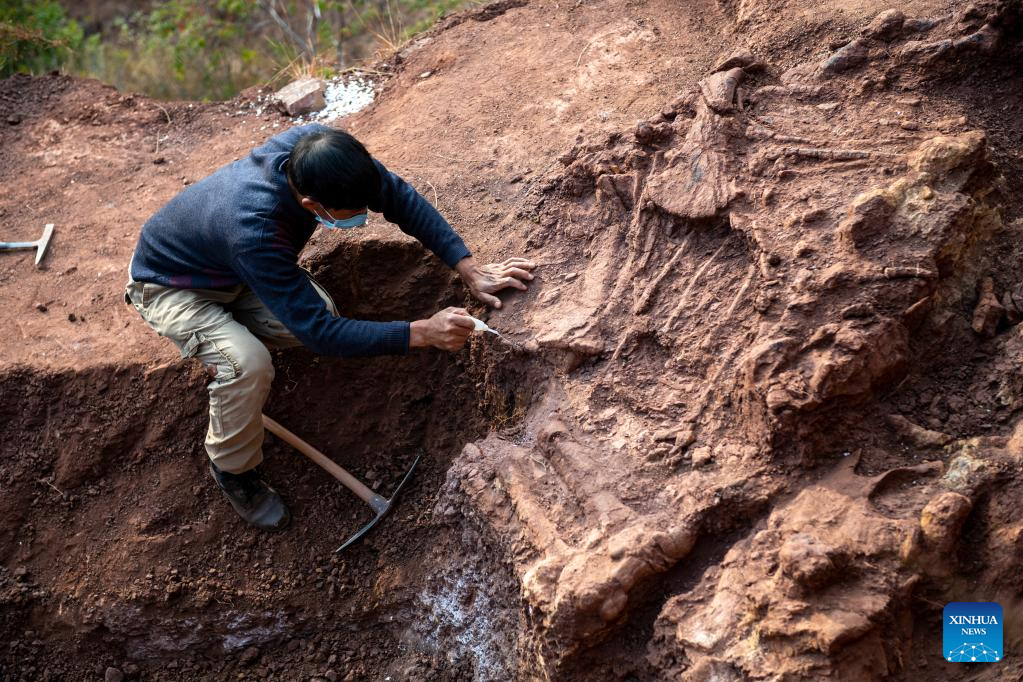 Sebuah survei pendahuluan menunjukkan bahwa satu set fosil dinosaurus di Kabupaten Shuangbai berasal dari periode Jurassic tengah dan akhir sementara yang lain berasal dari periode Jurassic awal
