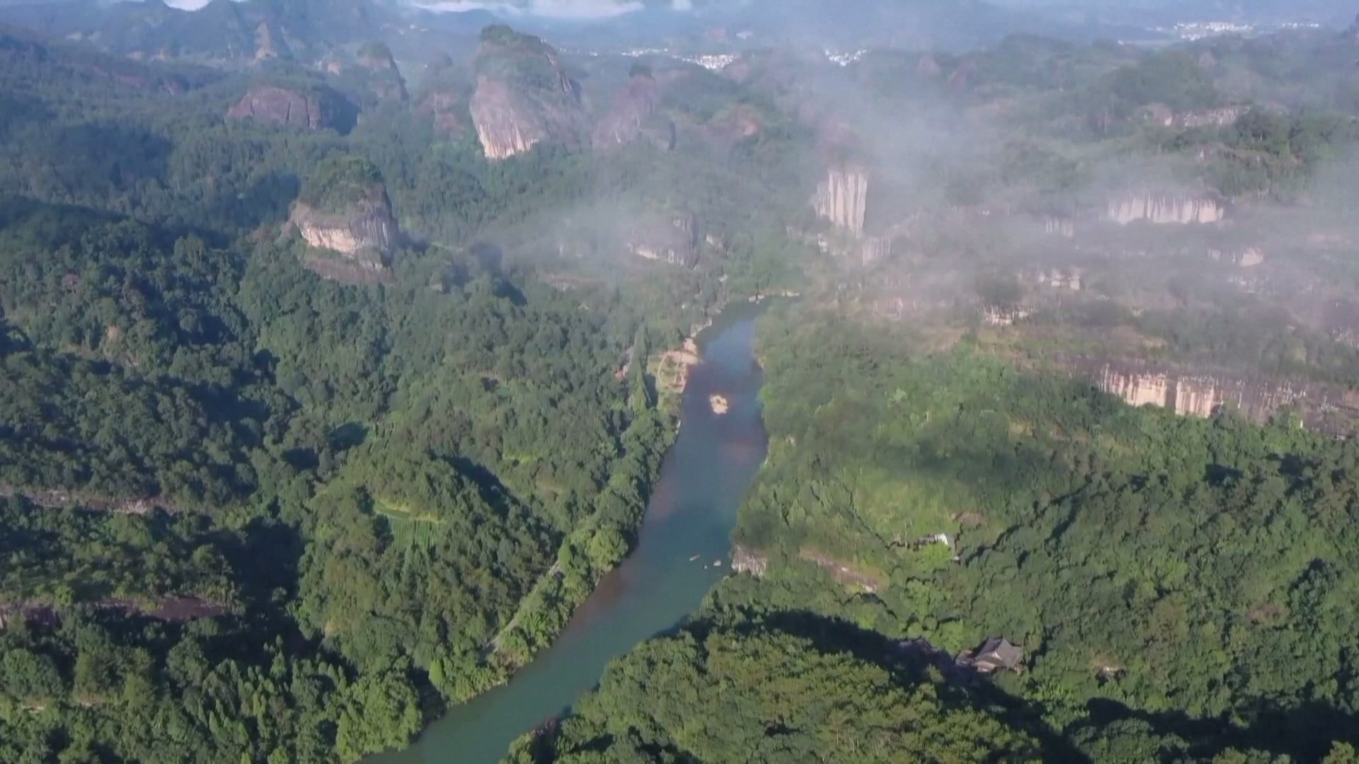 Taman Nasional Wuyishan di Tiongkok Timur telah mengidentifikasi 17 spesies serangga baru