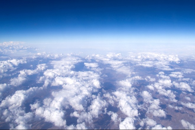 Para peneliti Tiongkok telah menemukan bahwa polusi ozon menyebabkan kerusakan luas pada vegetasi