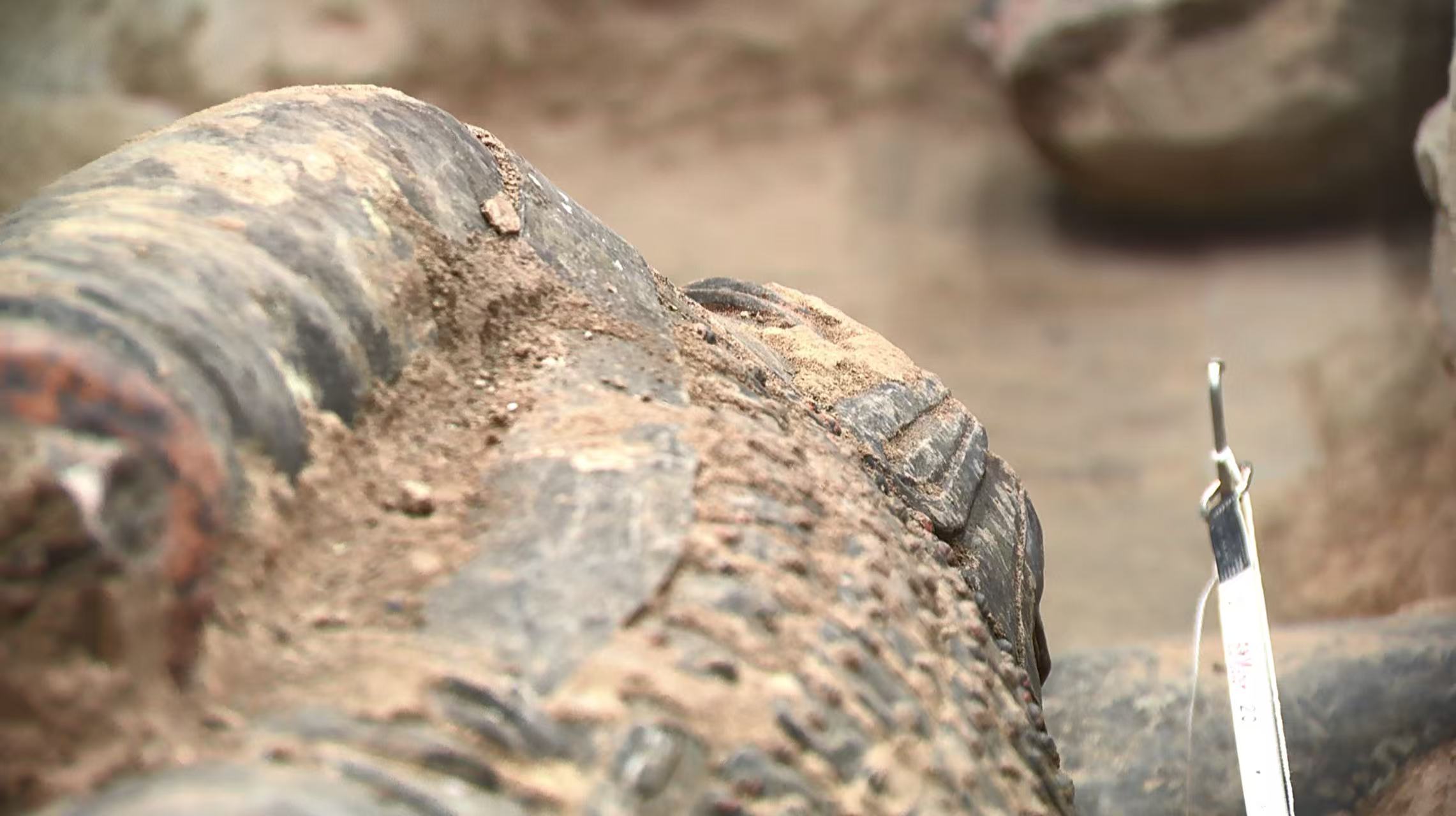 Berdasarkan ornamen dada dan gaya rambutnya para ahli memastikan patung itu adalah seorang perwira