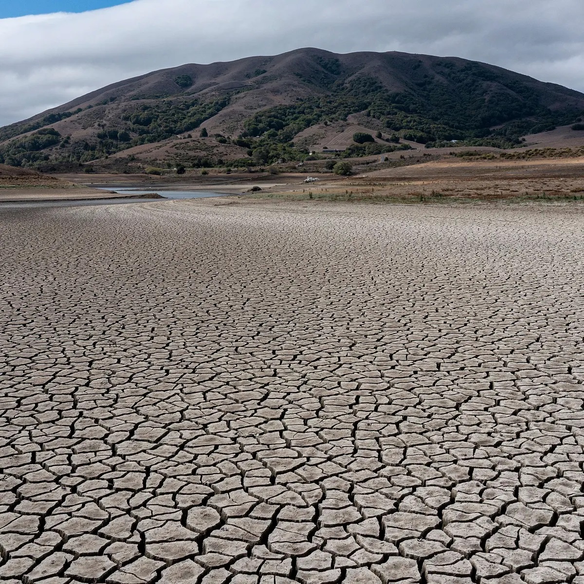 Hanya satu bulan yang lalu