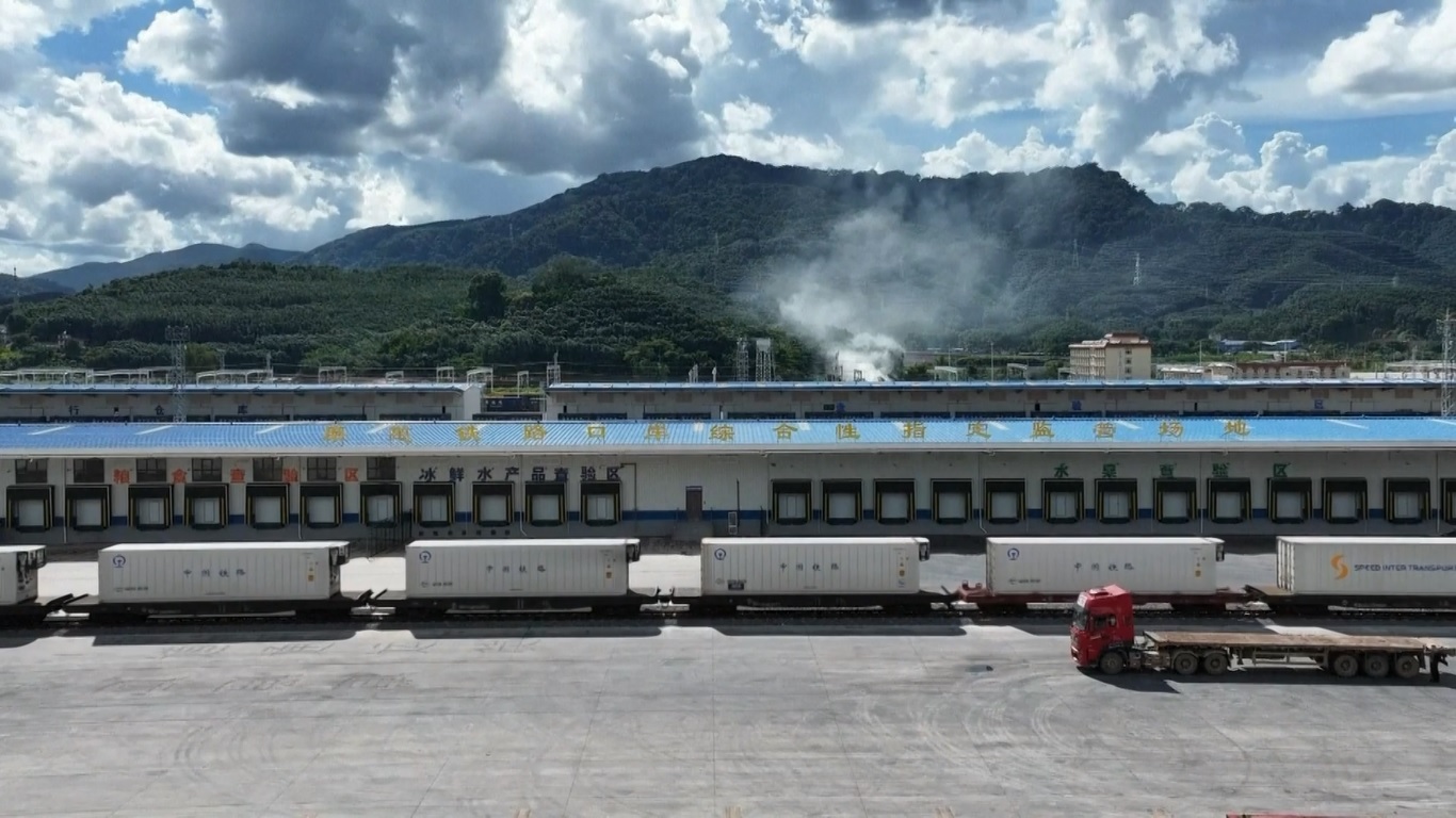 Kargo Kereta Api Tiongkok-Laos Capai Rekor Baru pada Periode Januari-Juli 2025