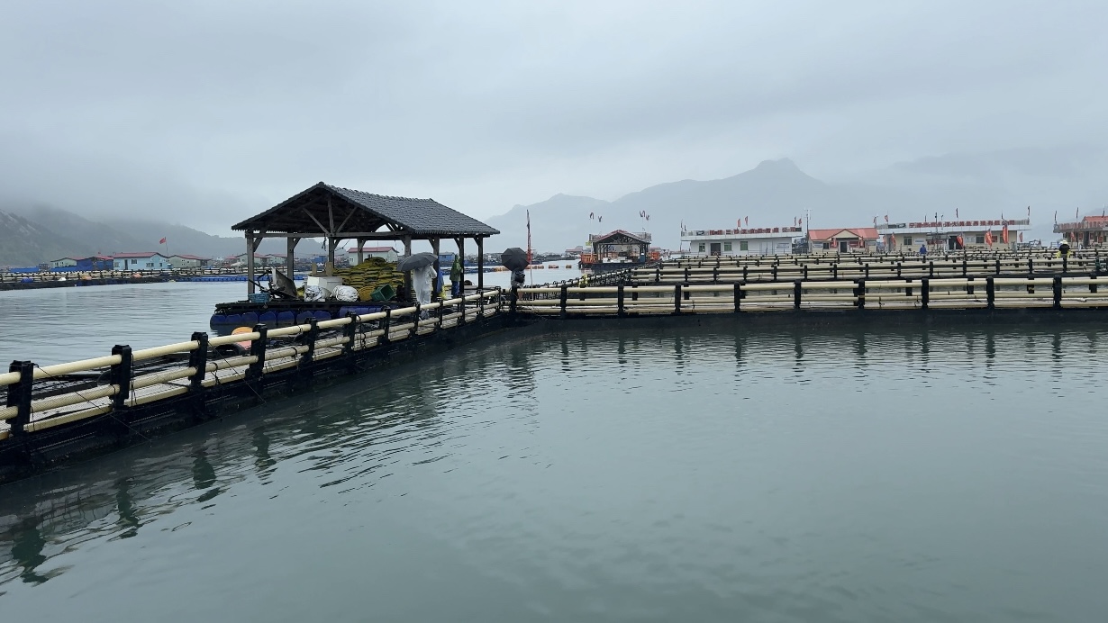 Kini desa tersebut menerapkan praktik yang lebih berkelanjutan dengan mengganti pelampung dan material tradisional secara bertahap dengan alternatif yang ramah lingkungan