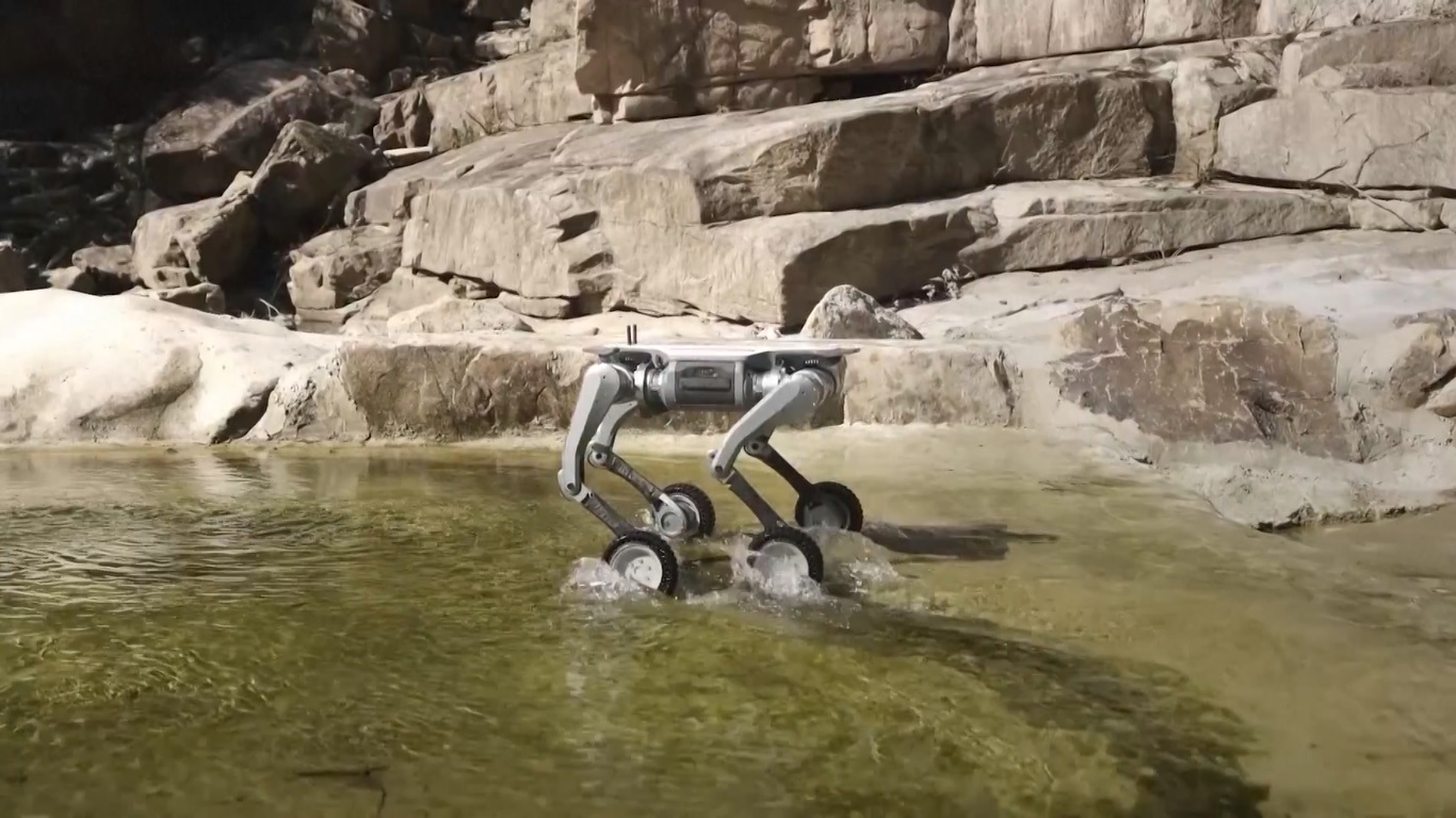 Di antara sekian banyak keahliannya