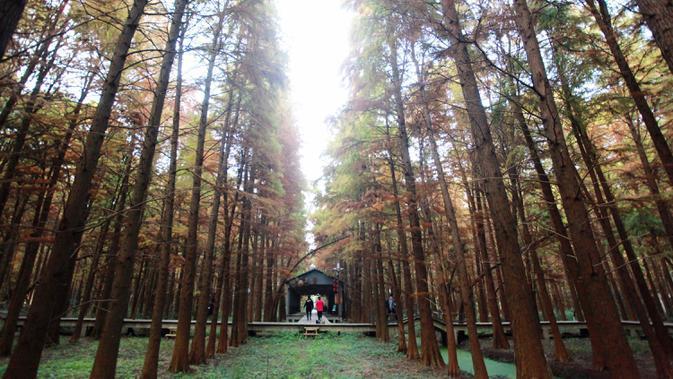 Penandatanganan  Konvensi Ramsar telah meluluskan ‘Deklarasi Wuhan’ sebagai dokumen penting untuk menyatukan kesepahaman semua pihak serta menunjukkan harapan kepada dunia