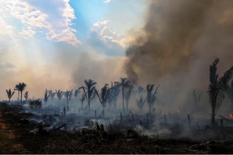 Spike menggarisbawahi tantangan yang dihadapi Presiden baru Luiz Inacio Lula da Silva untuk membalikkan kerusakan lingkungan selama bertahun-tahun