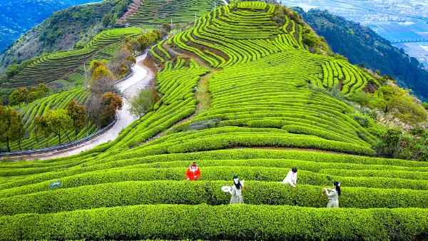 Tanggal 5 April mendatang bertepatan dengan hari raya Ceng Beng