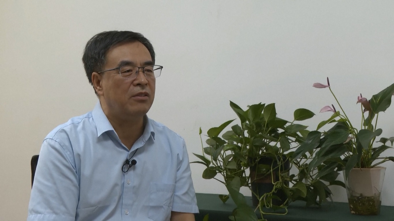 Analisis komprehensif terhadap petak-petak lahan tersebut menunjukkan bahwa Beijing