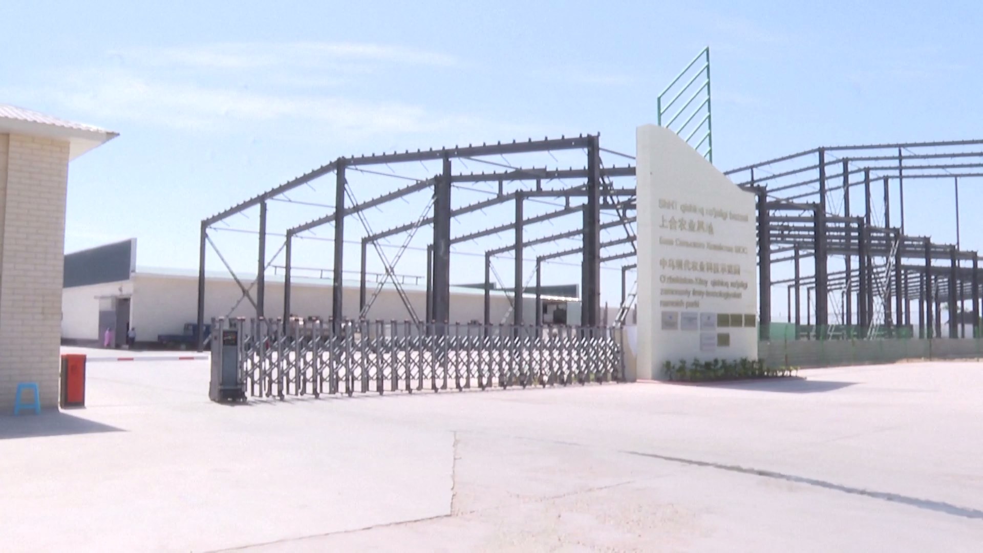 Teknologi budidaya kapas Tiongkok telah memberikan peningkatan besar pada produksi