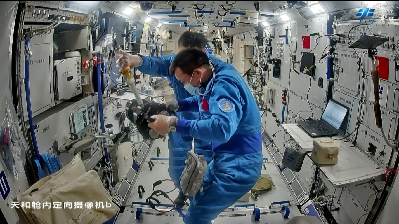 Salah satu yang menarik adalah penelitian lalat buah yang bertujuan untuk mempelajari pertumbuhan