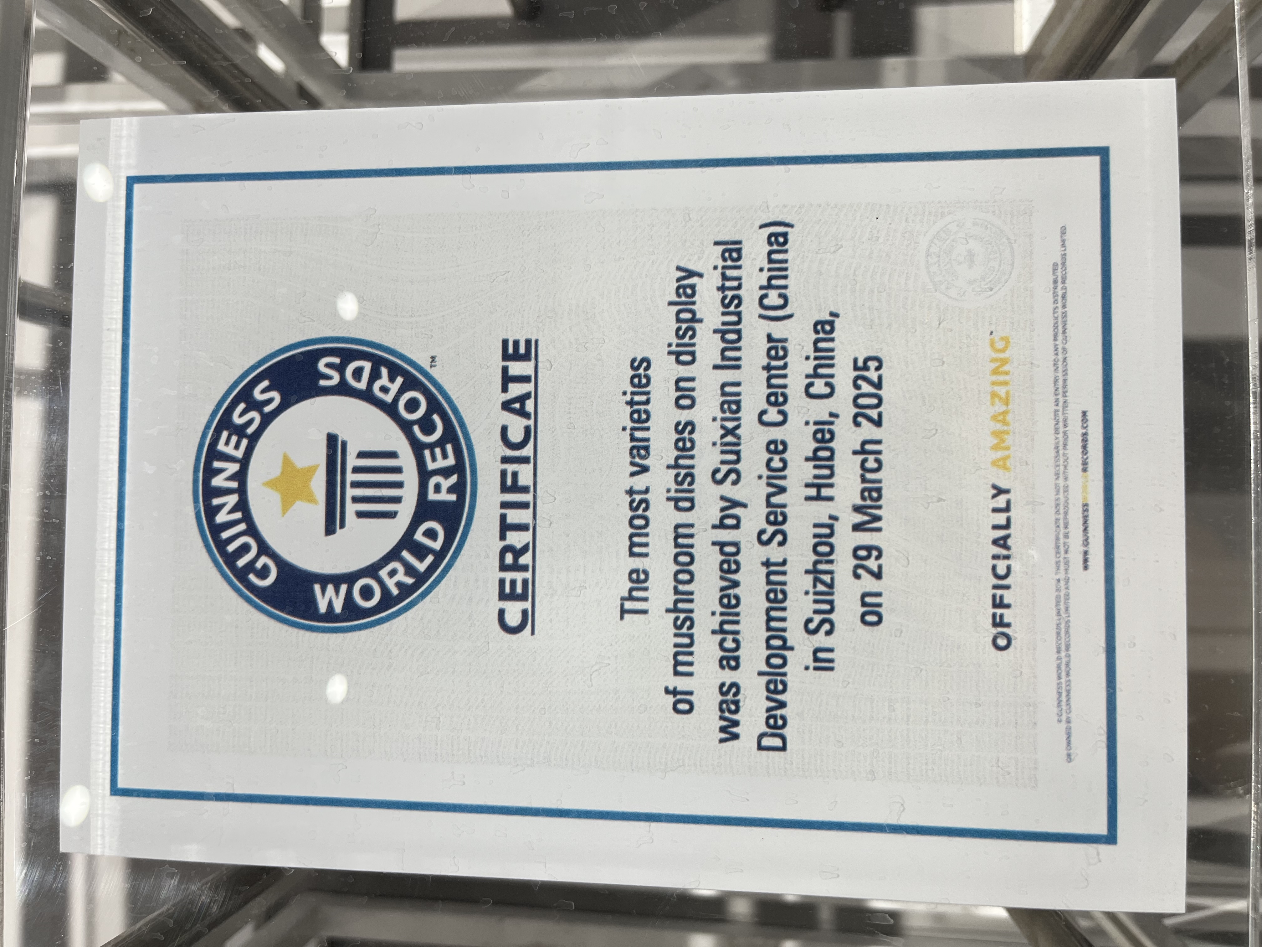 Suizhou, Ibu Kota Jamur Shiitake di Tiongkok