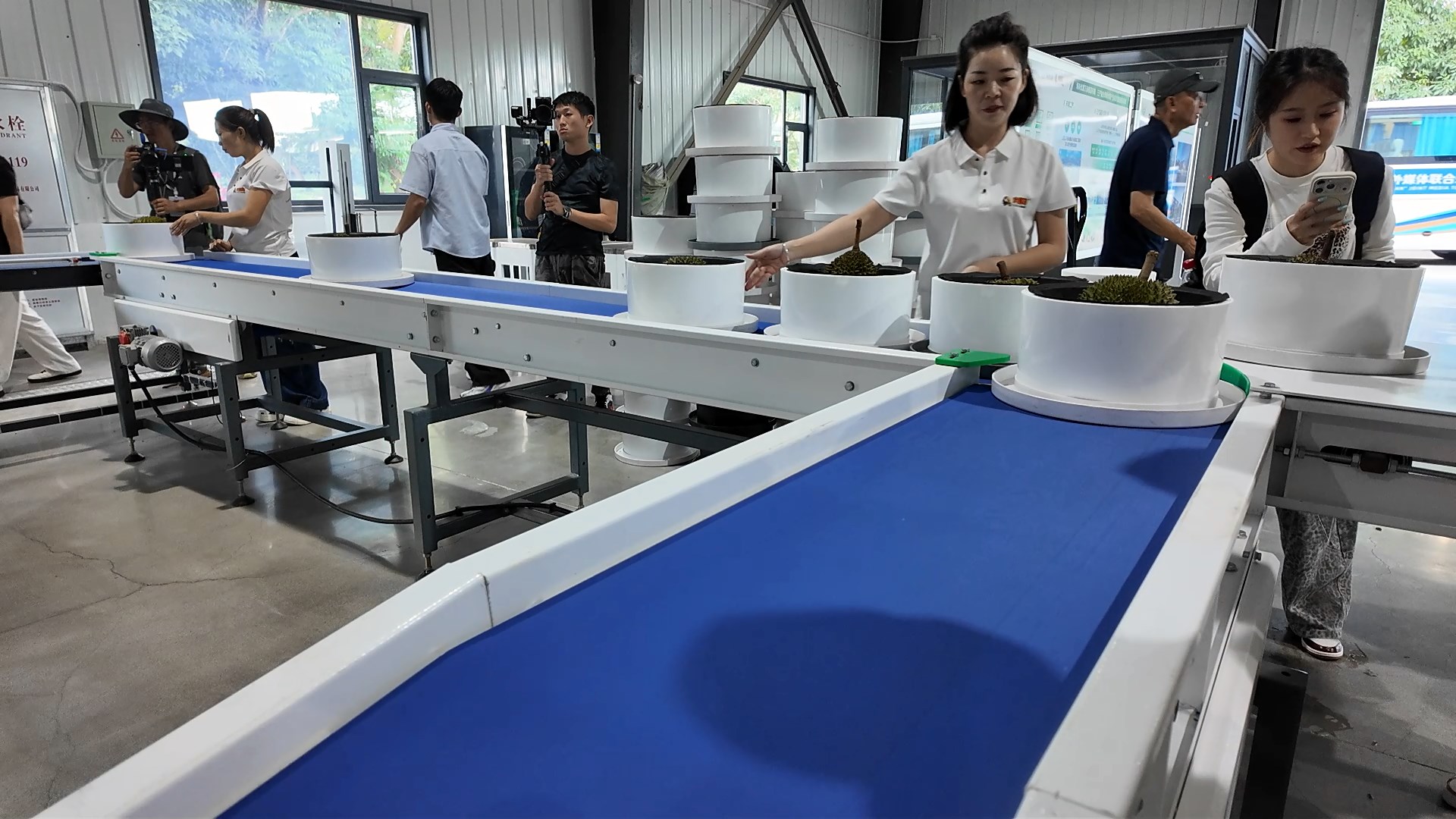 Hari ke-1 "China Walk: Vibrant Hainan" 2026: Dari Upacara Pembukaan hingga Cicipi Durian Hasil Pertanian Cerdas