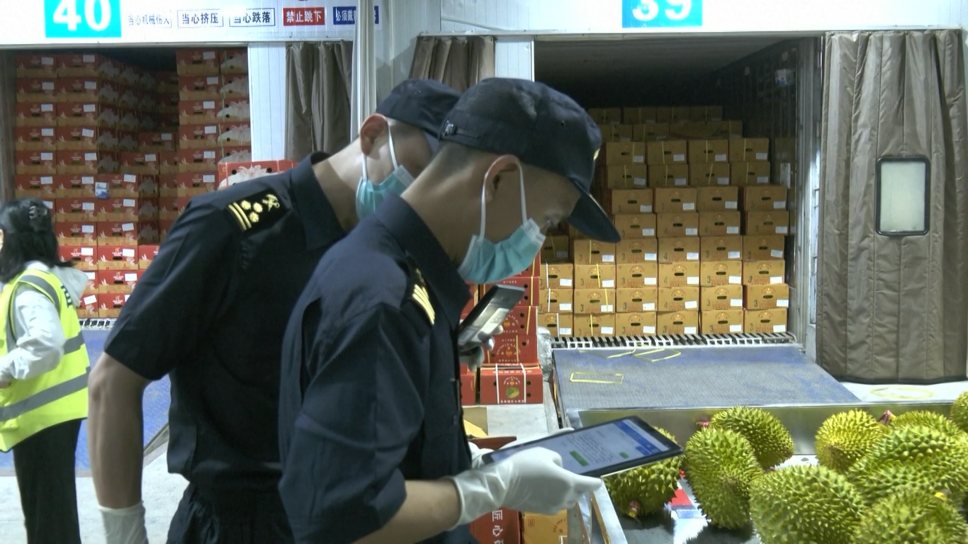 Data yang dirilis oleh otoritas bea cukai Tiongkok menunjukkan bahwa pada kuartal pertama tahun ini nilai produk pertanian segar yang diimpor melalui Pelabuhan Youyi Guan mencapai 215 miliar yuan (sekitar 47 triliun rupiah)