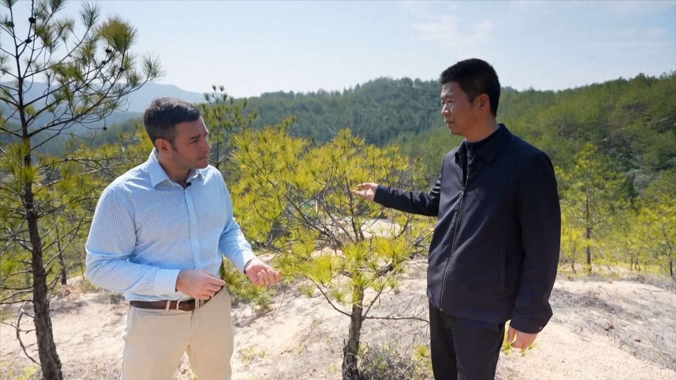 Changting pernah menjadi salah satu kabupaten dengan erosi tanah paling serius di wilayah tanah merah di Tiongkok tenggara