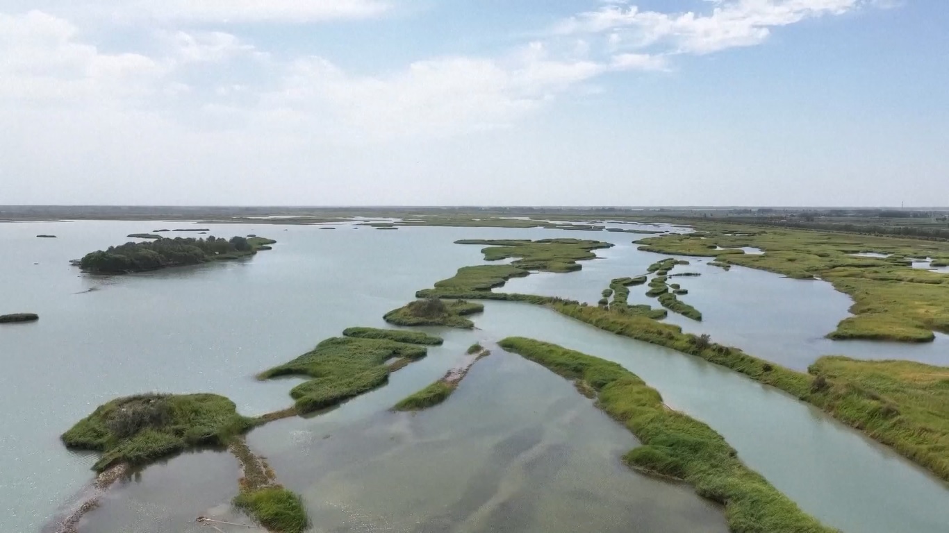 Upaya Ekologi Ubah Gurun Xinjiang yang Dulu Tandus Jadi Oase yang Subur dan Hidup