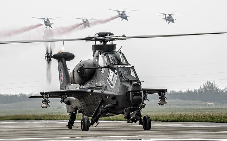 Saat ini setidaknya 150 helikopter telah diproduksi CAIG untuk kebutuhan militer lokal Sedangkan pelanggan asing pertama kemungkinan datang dari Pakistan dengan versi WZ-10ME