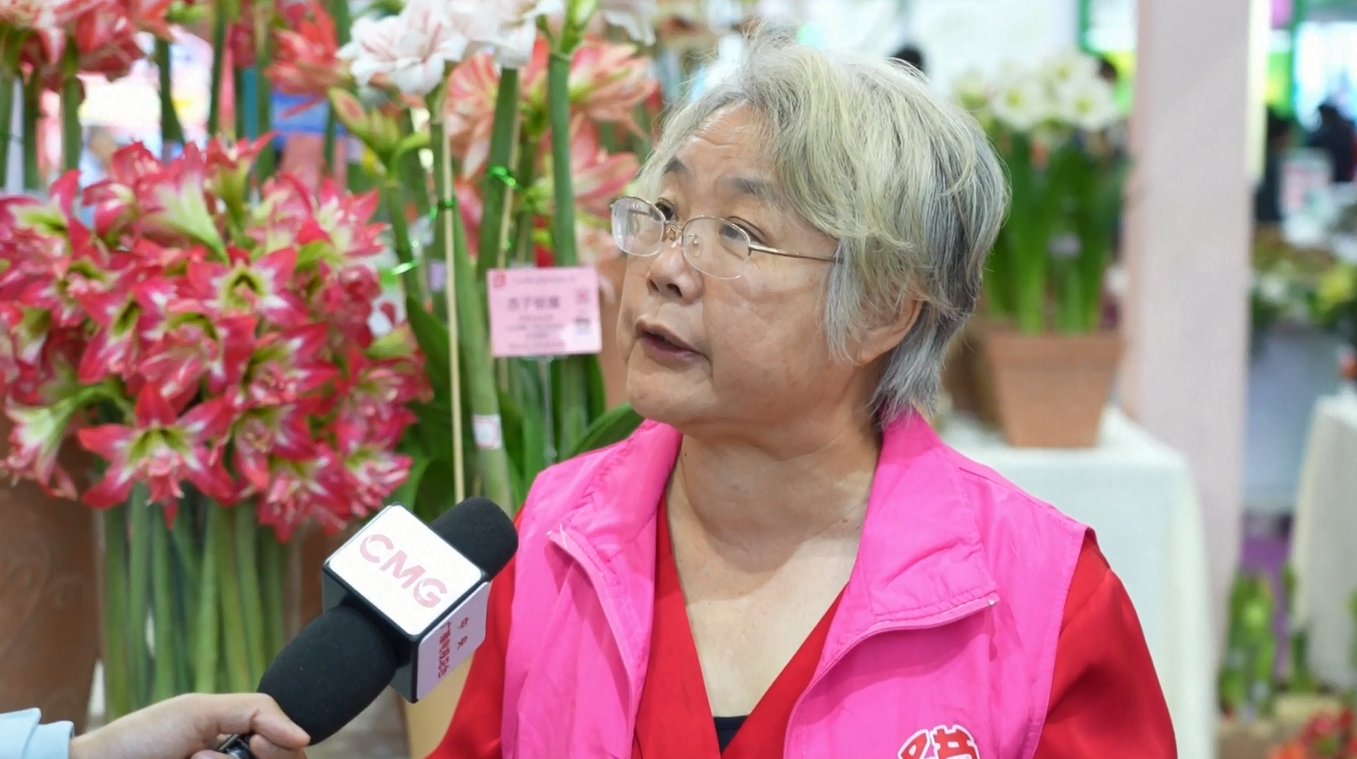Acara China Hortiflorexpo 2026 Tampilkan Solusi Berkebun di Rumah yang Minim Perawatan