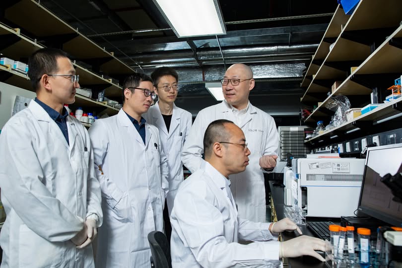 Peneliti Tiongkok Kembangkan "Alat Penanda Nano" untuk Imunoterapi Kanker