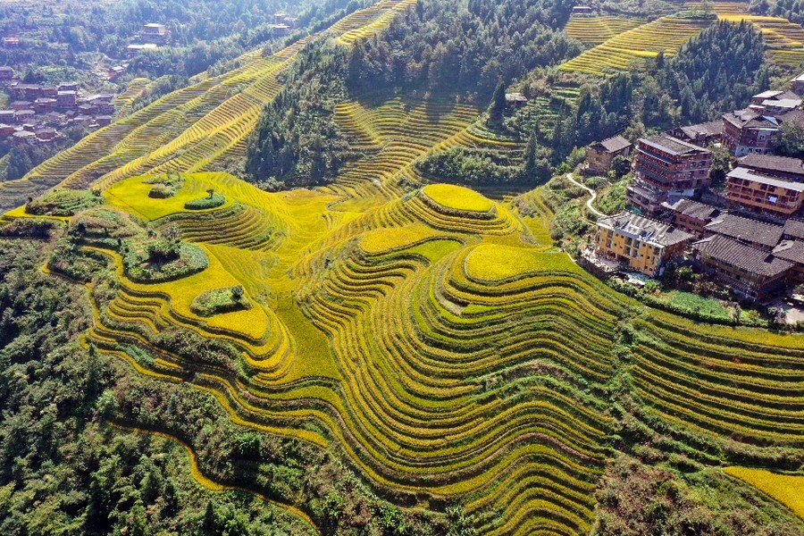 Dengan bekerja sama dengan perusahaan pariwisata dari kota wisata Guilin