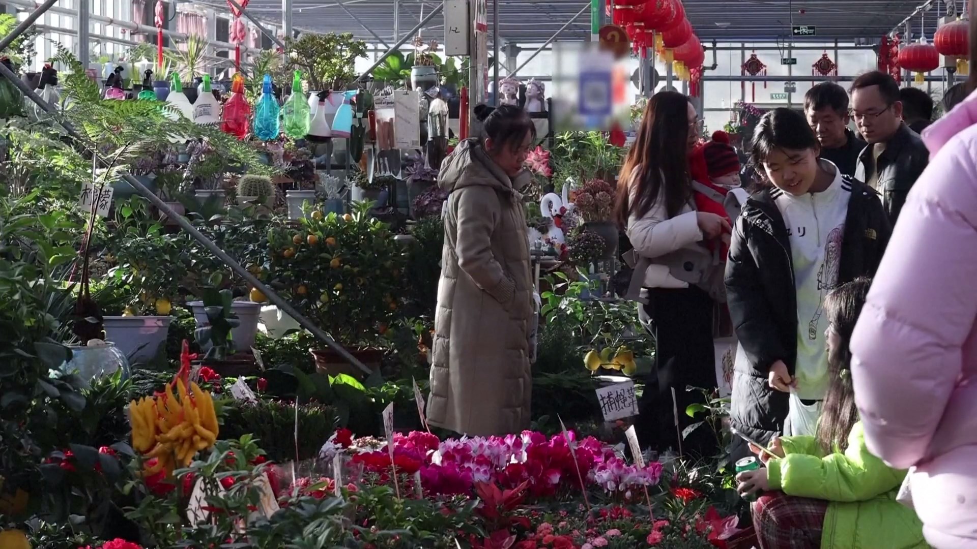 Bunga laku keras di banyak pasar di seluruh Tiongkok karena orang-orang tengah mempersiapkan perayaan Hari Tahun Baru dan Festival Musim Semi yang akan datang