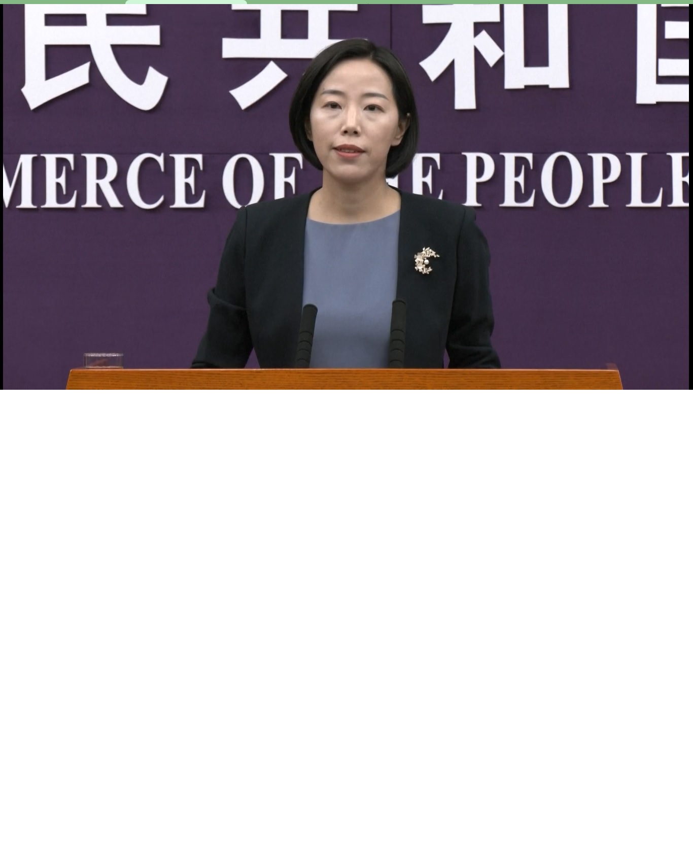 Pernyataan ini merupakan tanggapan atas proposal blok tersebut untuk memberikan sanksi kepada tujuh perusahaan Tiongkok