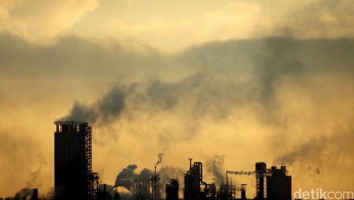 PT Semen Indonesia (Persero) Tbk (SIG) melalui anak usahanya PT Solusi Bangun Indonesia Tbk (SBI) melakukan budidaya mikroalga di area pabrik Cilacap