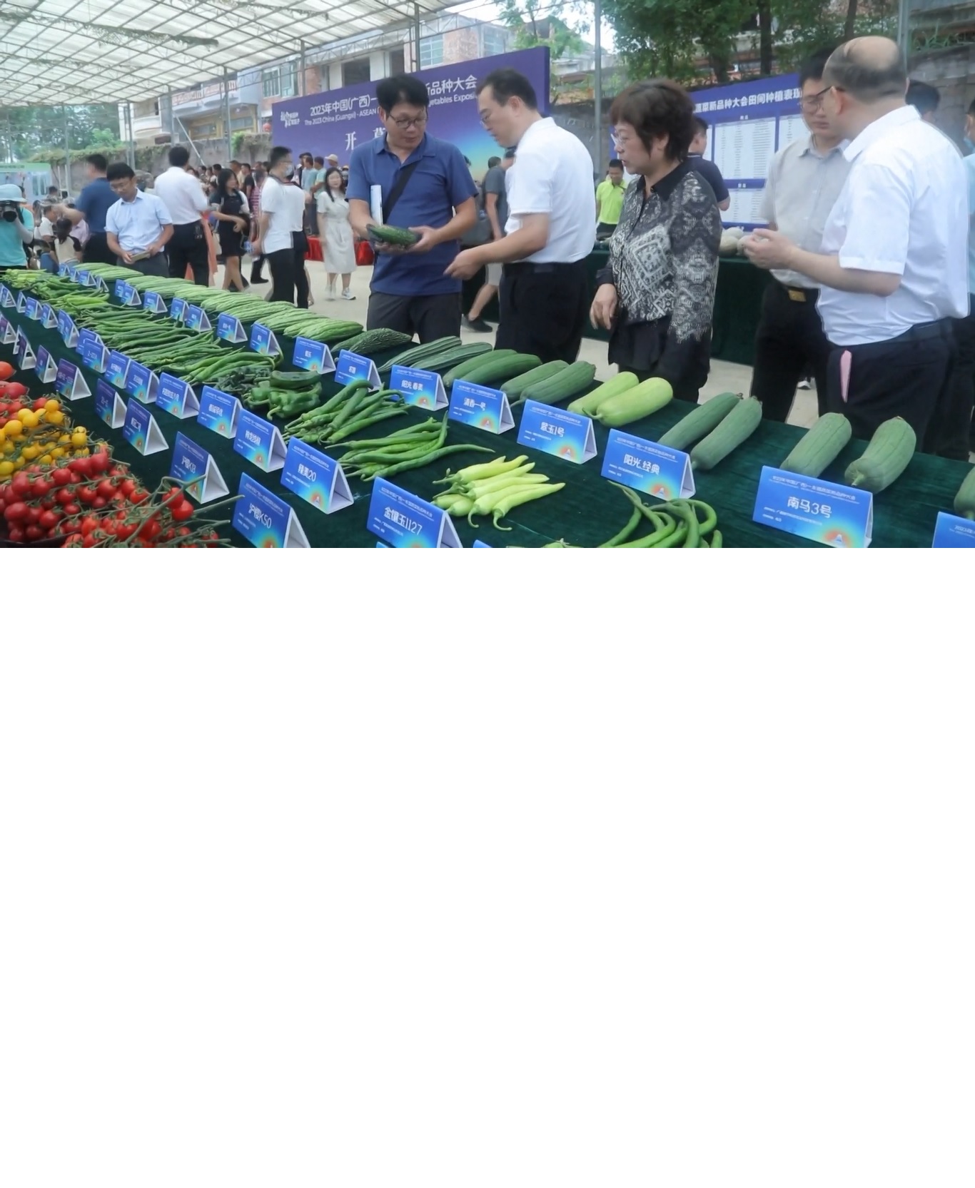 Pameran Sayuran Varietas Baru Tiongkok (Guangxi) - ASEAN 2023 resmi dibuka di Kota Nanning