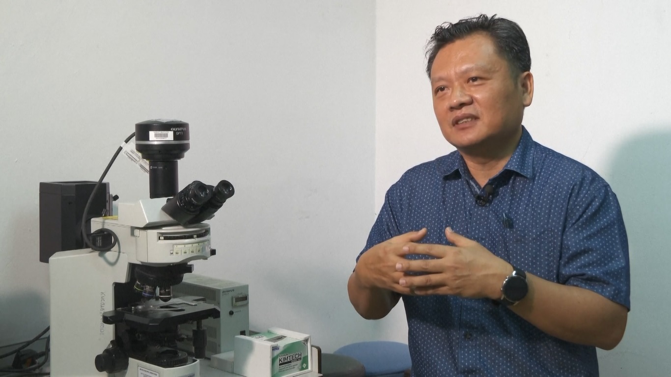 Ledakan alga berbahaya