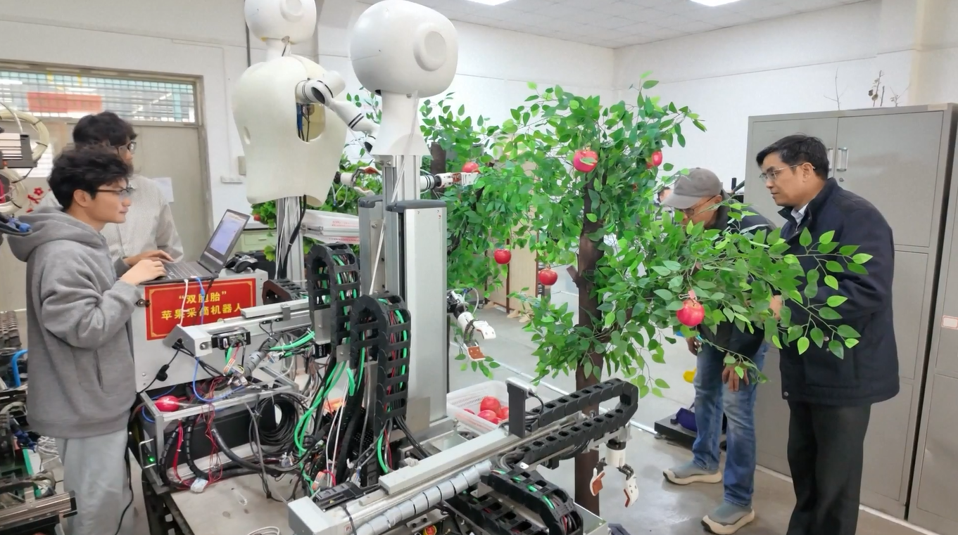 Para Peneliti Tiongkok Kembangkan Robot Pemetik Apel untuk Aplikasi di Dunia Nyata