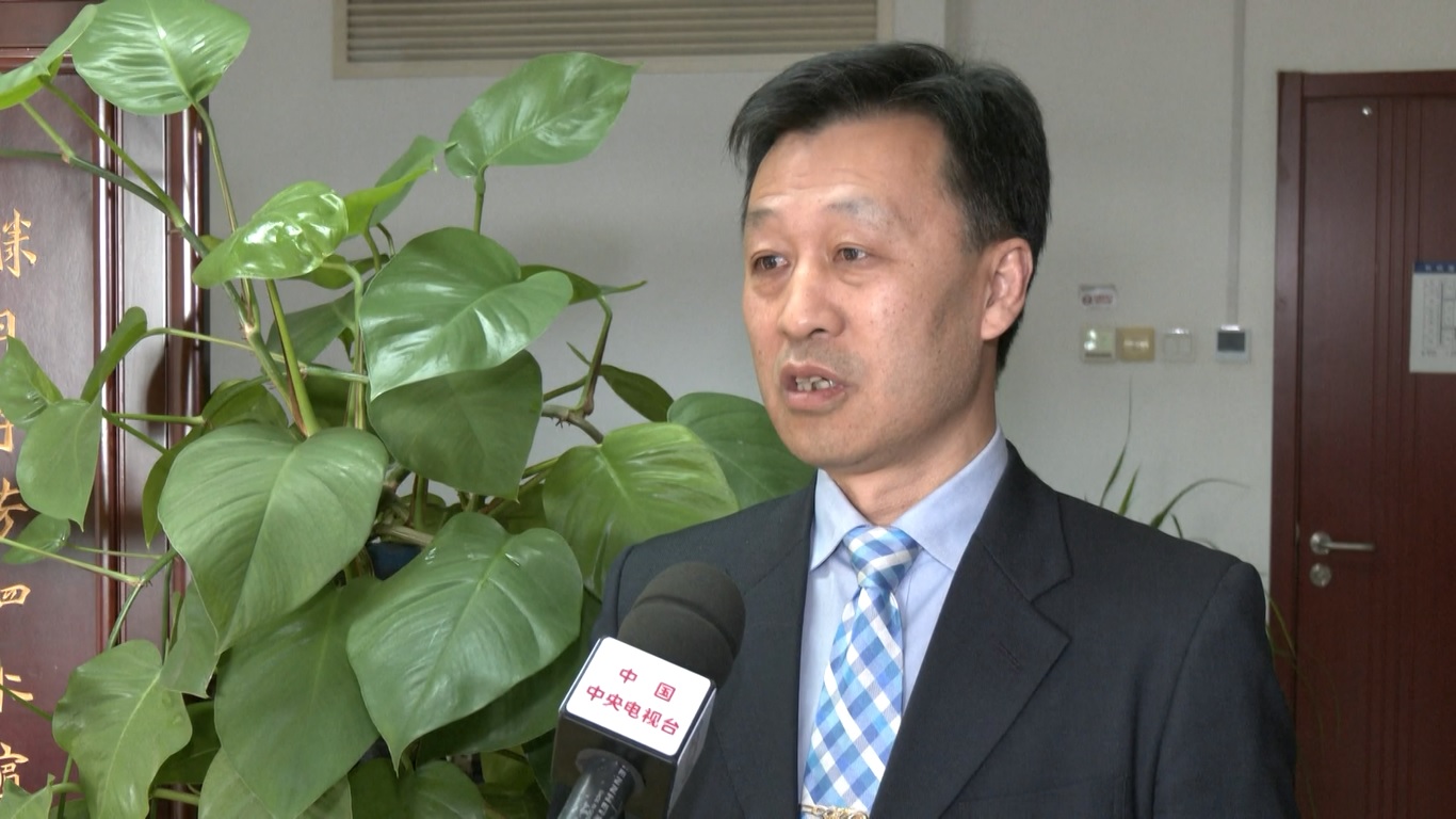 Beberapa pakar Tiongkok dalam politik dan ekonomi internasional mencatat bahwa dialog 1+10 berlangsung pada waktu yang tepat