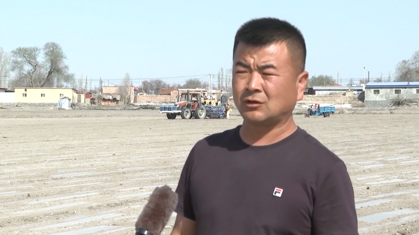 Mesin yang Dilengkapi BeiDou Tingkatkan Efisiensi Penanaman Kapas di Xinjiang
