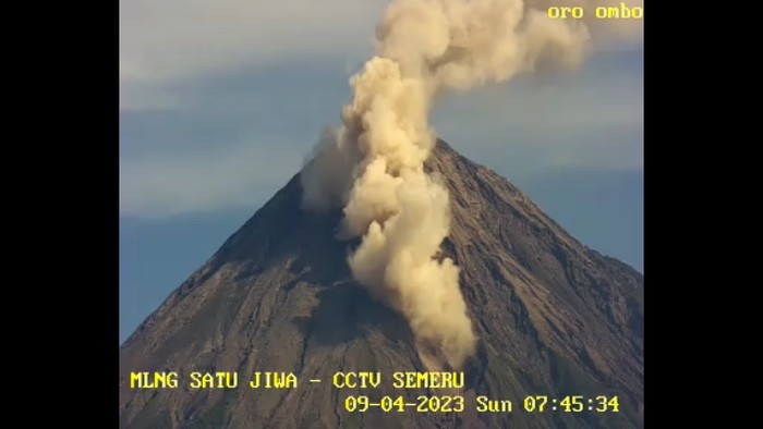 Kepala BPBD Kabupaten Lumajang Patria Dwi Hastiadi mengatakan