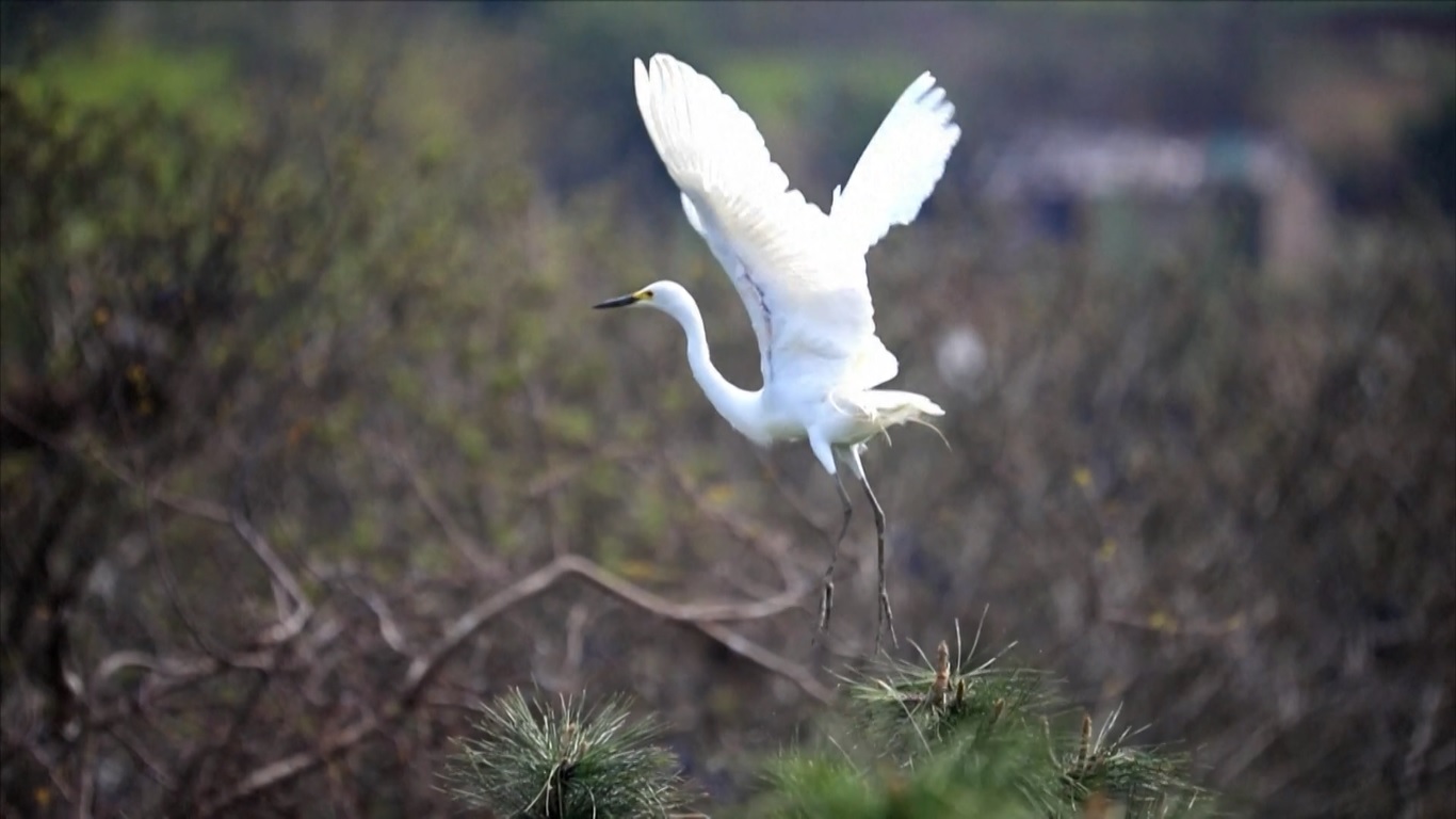 Di Taman Nasional Sanjiangyuan di Provinsi Qinghai