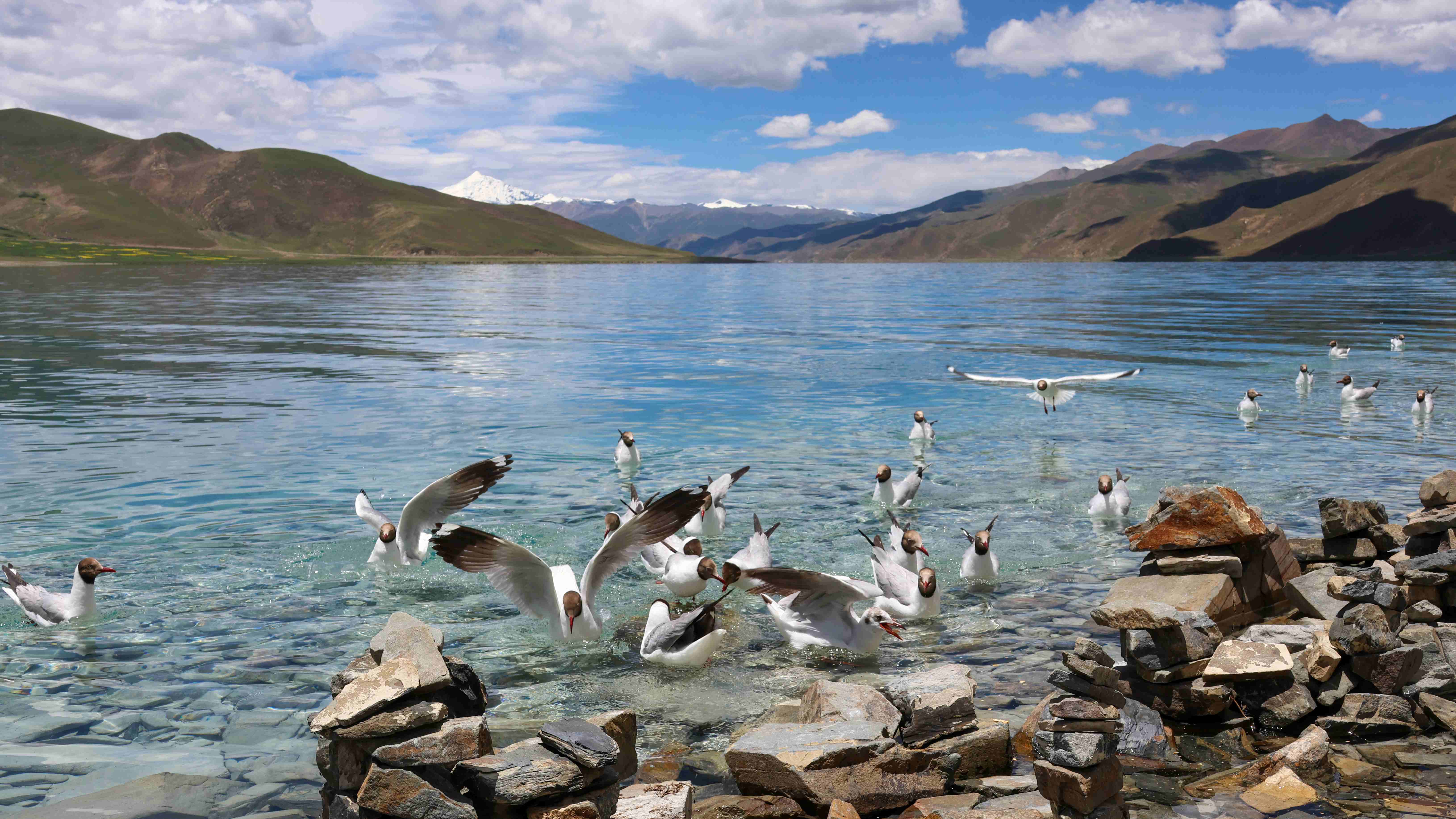 Simfoni Kehidupan di 'Atap Dunia'