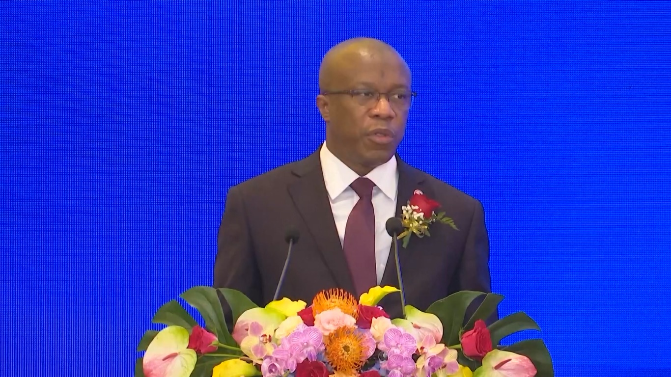 Laporan ini mencakup berbagai topik termasuk kerangka kebijakan dan mode kerja sama yang ada di bawah rantai industri Afrika