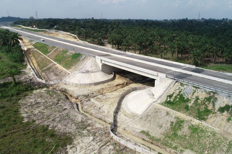 Jalan Tol Pekanbaru-Dumai (Permai) merupakan satu-satunya jalan tol yang memiliki terowongan perlintasan gajah di Indonesia
