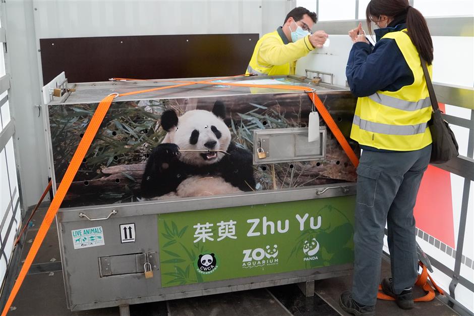 Tiongkok dan Spanyol menandatangani perjanjian pada tahun 2007 untuk meningkatkan perlindungan panda raksasa dan mendorong kerja sama dalam spesies dan keanekaragaman hayati yang terancam punah