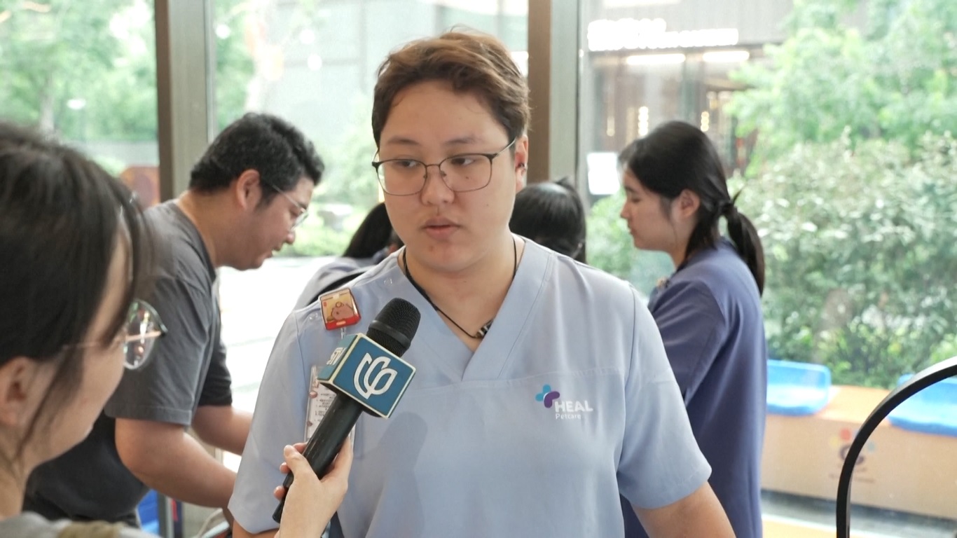 Pusat Kebugaran Hewan Peliharaan Pertama di Tiongkok Resmi Dibuka di Shanghai