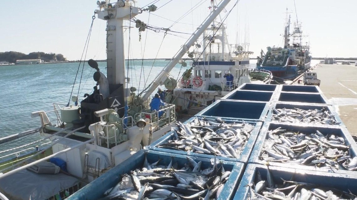 Kekhawatiran konsumen telah membuat harga grosir makanan laut yang didaratkan di Fukushima turun